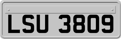 LSU3809