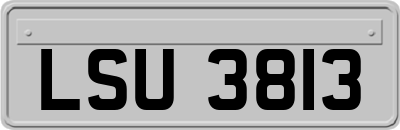 LSU3813