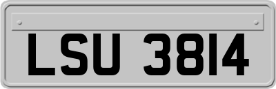 LSU3814