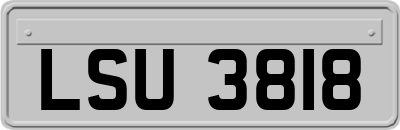 LSU3818
