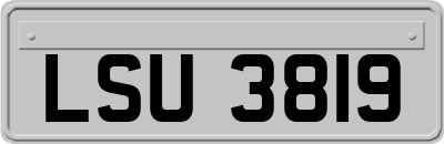 LSU3819