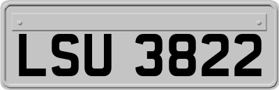 LSU3822