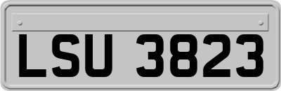 LSU3823