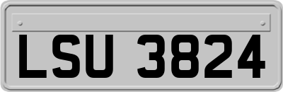 LSU3824
