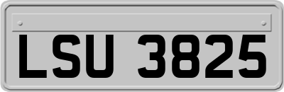 LSU3825