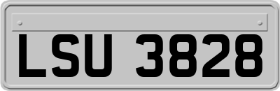 LSU3828