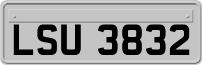 LSU3832