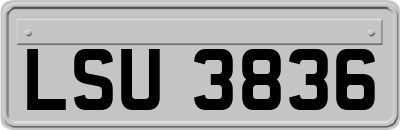 LSU3836