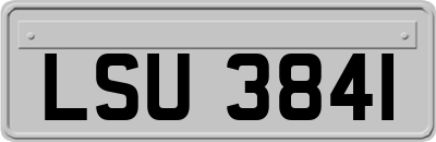 LSU3841