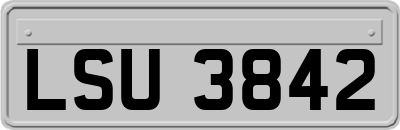 LSU3842