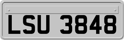 LSU3848