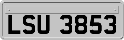 LSU3853