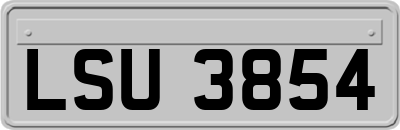 LSU3854