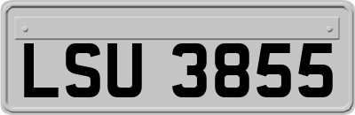 LSU3855