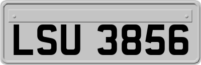 LSU3856
