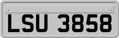 LSU3858