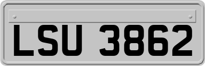 LSU3862