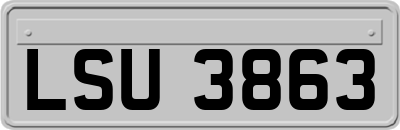 LSU3863