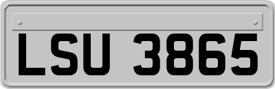 LSU3865