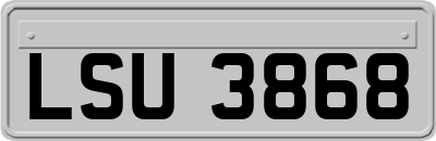 LSU3868