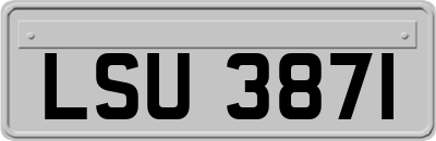 LSU3871