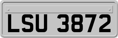 LSU3872