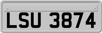 LSU3874