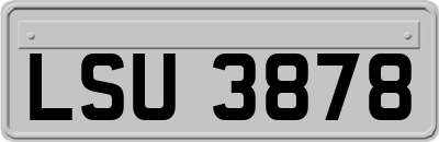 LSU3878