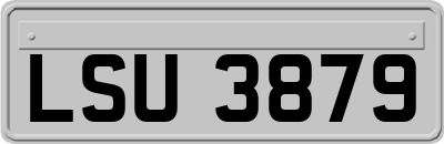 LSU3879