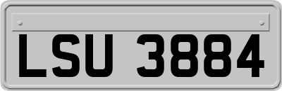 LSU3884