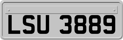 LSU3889