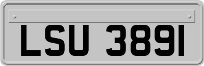 LSU3891
