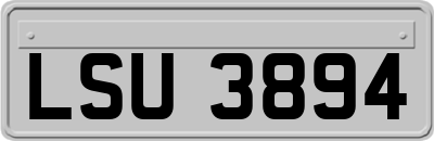 LSU3894