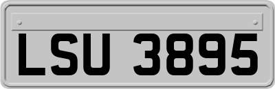 LSU3895