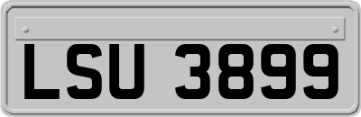 LSU3899