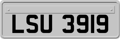 LSU3919