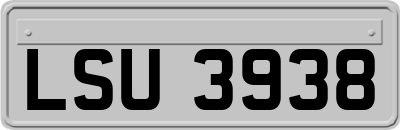 LSU3938
