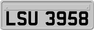 LSU3958