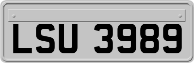 LSU3989