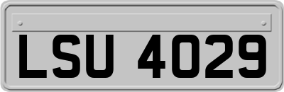 LSU4029