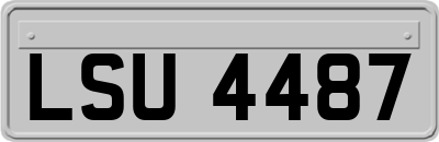 LSU4487