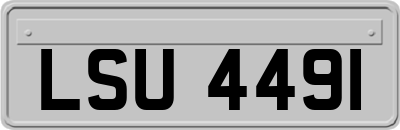 LSU4491