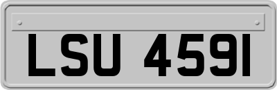 LSU4591