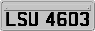 LSU4603