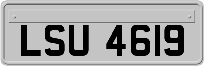 LSU4619