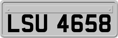 LSU4658