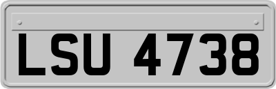 LSU4738