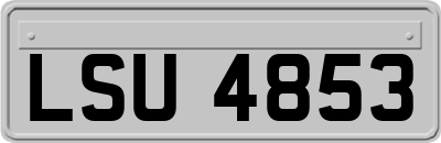 LSU4853
