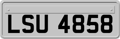 LSU4858