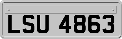 LSU4863